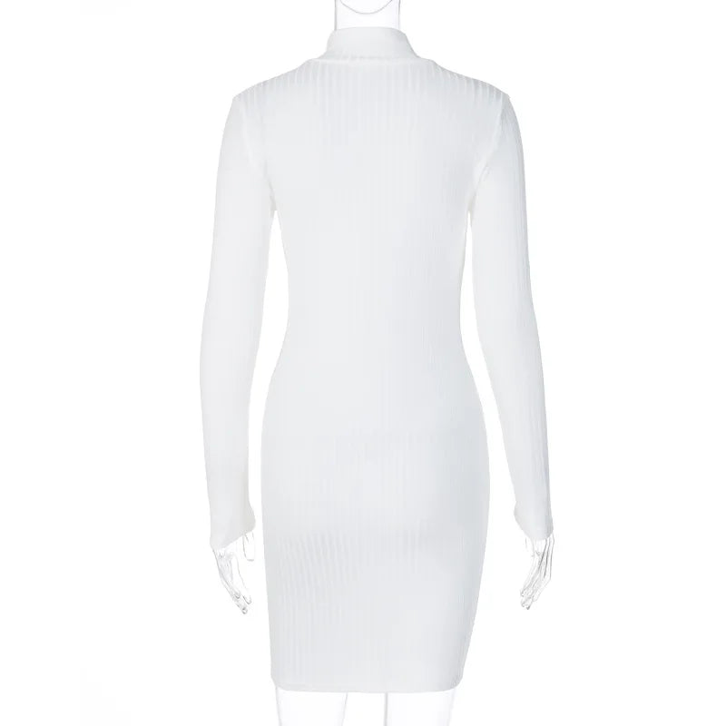 BKLD Turtleneck Dress For Women 2025 Spring New Fashion Slim Fit Long Sleeve Bodycon Dress Solid Color Night Club Outfit