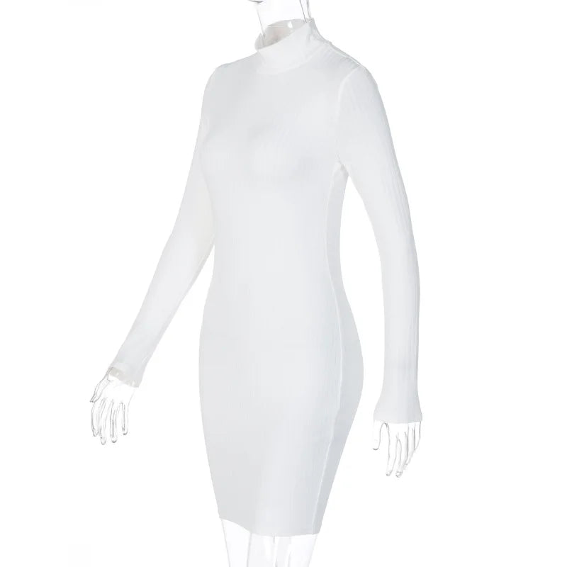 BKLD Turtleneck Dress For Women 2025 Spring New Fashion Slim Fit Long Sleeve Bodycon Dress Solid Color Night Club Outfit