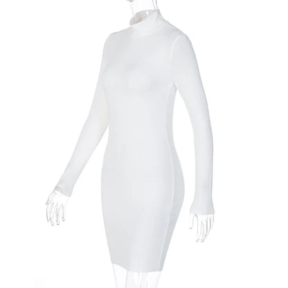 BKLD Turtleneck Dress For Women 2025 Spring New Fashion Slim Fit Long Sleeve Bodycon Dress Solid Color Night Club Outfit